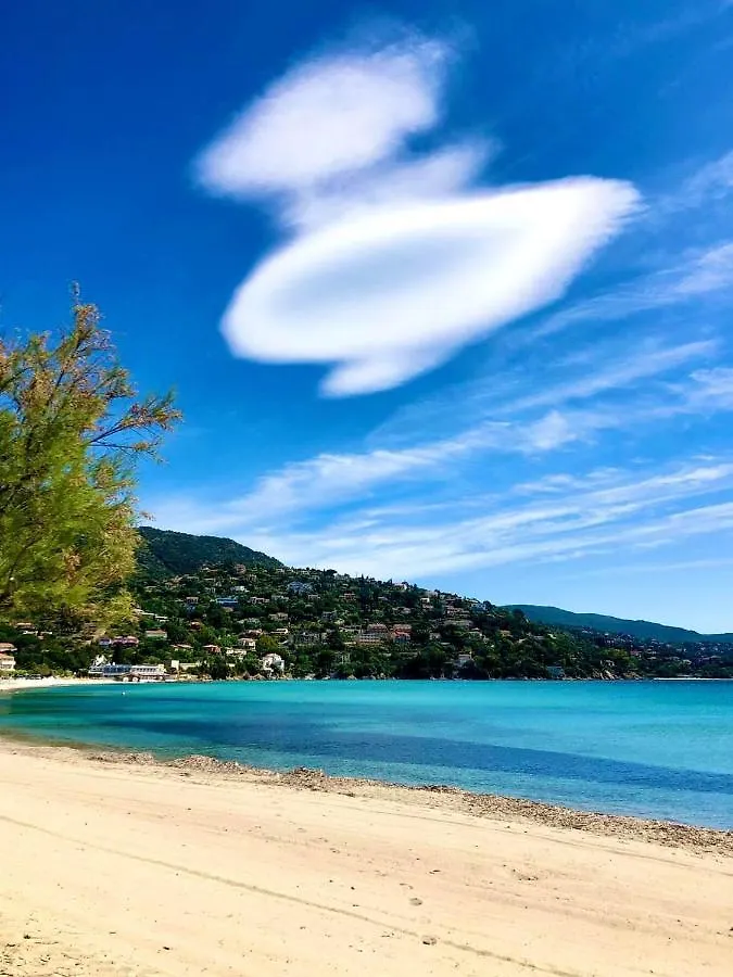 Apartment Residence Le St James Le Lavandou France